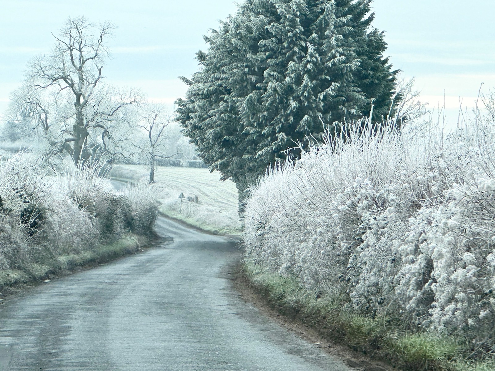 Frost is Better than Snow: Discuss – Lookbook Magazine Paris